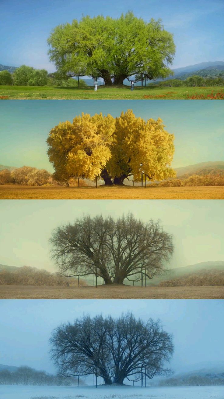 MEVSİMLERİN İNSANLARA ETTİKLERİ: YAZIN TELAŞINDAN SONBAHARIN HÜZNÜNE